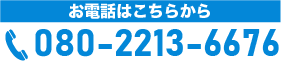 080-2213-6676